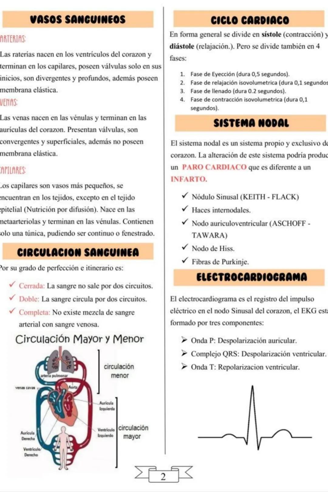 Sistema Circulatorio
El sistema circulatorio se encarga del transporte de
stancias por todo el organismo. Está constituido por
órganos y vas