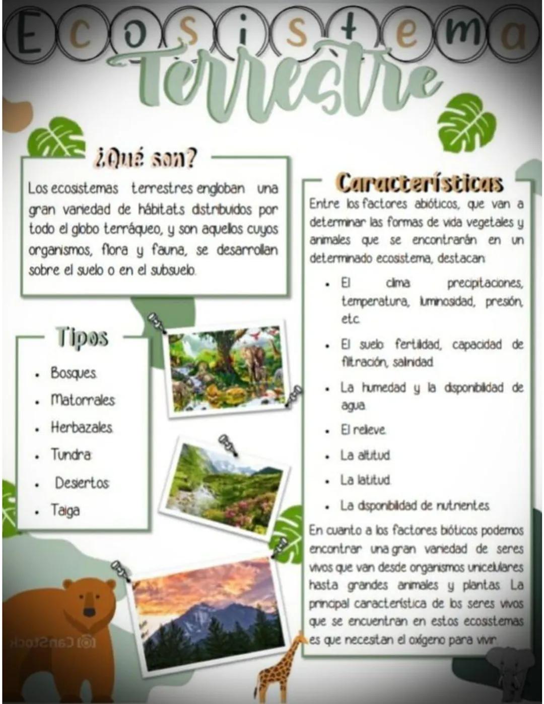 Ecosistema terrestre