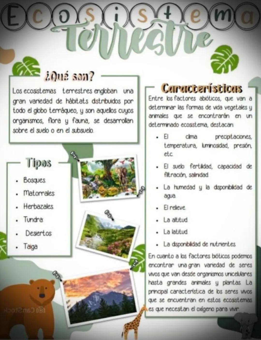 ECOSASAema
Terrestre
¿Qué son?
Los ecosistemas terrestres engloban una
gran variedad de hábitats distribuidos por
todo el globo terráqueo, y