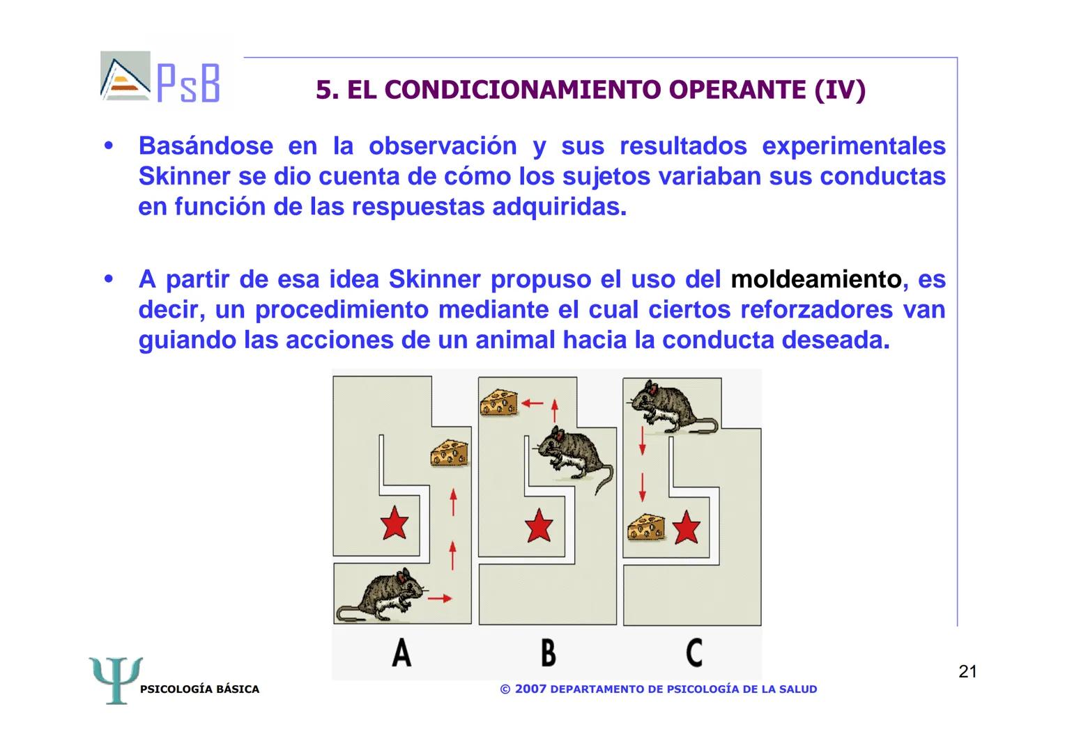 APSB
PSICOLOGÍA BÁSICA
TEMA 3. APRENDIZAJE
LICENCIATURA DE HUMANIDADES
UNIVERSIDAD DE ALICANTE
PSICOLOGÍA BÁSICA
Material extraído del