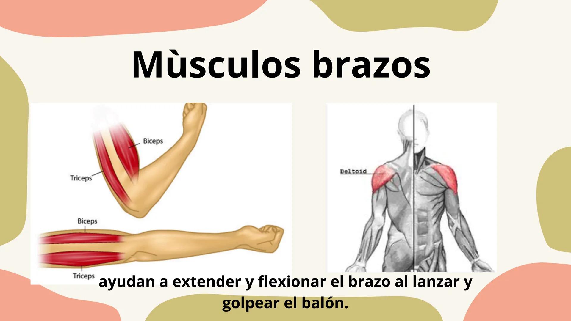 SAQUE
Isabella Vinasco
FLOTANTE
Salomme Coneo QUE ES?
Es un tipo de saque que busca que la pelota tenga
un movimiento impredecible y caiga e