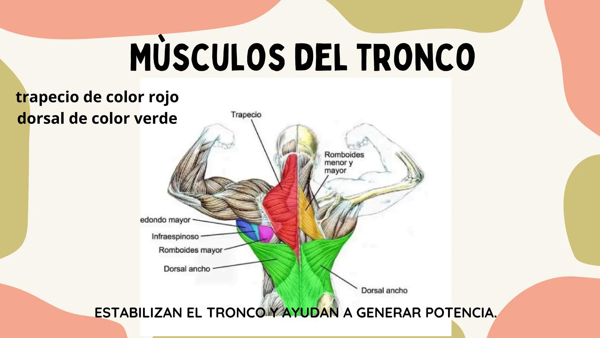 SAQUE
Isabella Vinasco
FLOTANTE
Salomme Coneo QUE ES?
Es un tipo de saque que busca que la pelota tenga
un movimiento impredecible y caiga e