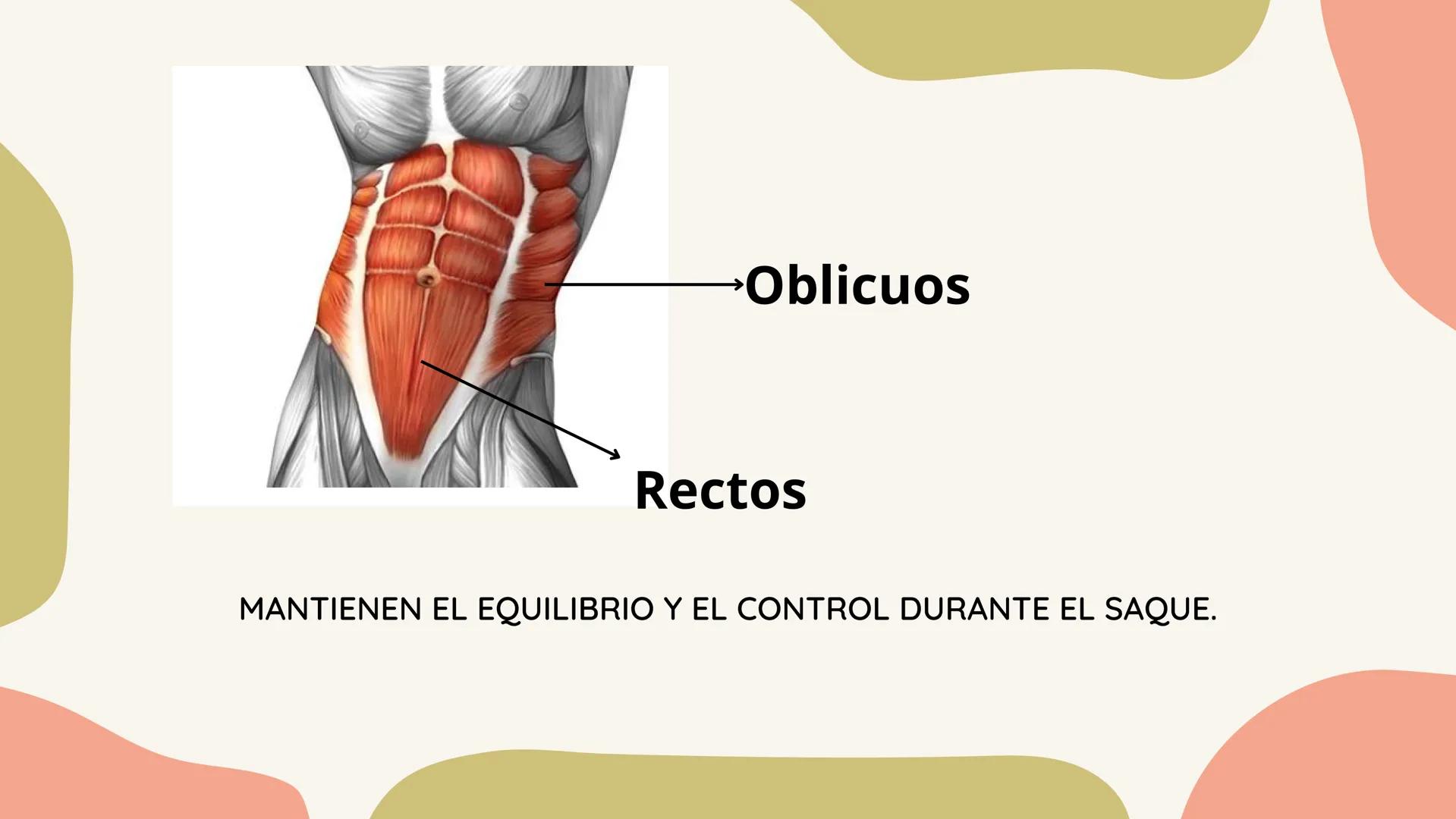 SAQUE
Isabella Vinasco
FLOTANTE
Salomme Coneo QUE ES?
Es un tipo de saque que busca que la pelota tenga
un movimiento impredecible y caiga e