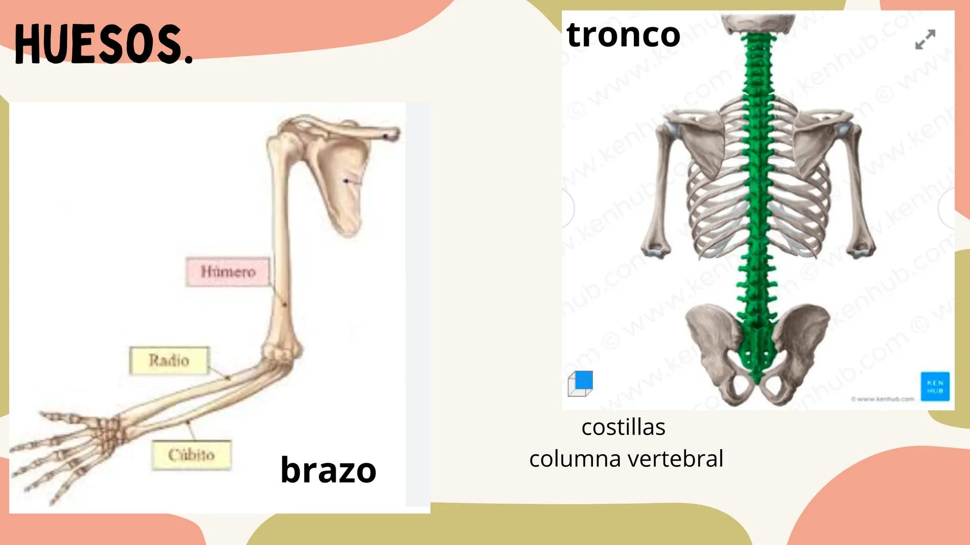 SAQUE
Isabella Vinasco
FLOTANTE
Salomme Coneo QUE ES?
Es un tipo de saque que busca que la pelota tenga
un movimiento impredecible y caiga e