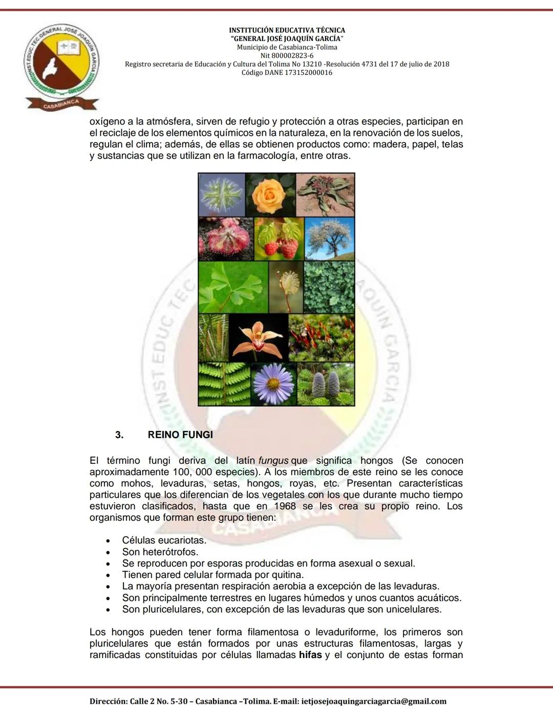 GTEC GENERAL JOSE
JOAQUIN
CASABIANCA
INSTITUCIÓN EDUCATIVA TÉCNICA
"GENERAL JOSÉ JOAQUÍN GARCÍA"
Municipio de Casabianca-Tolima
Nit 80000282