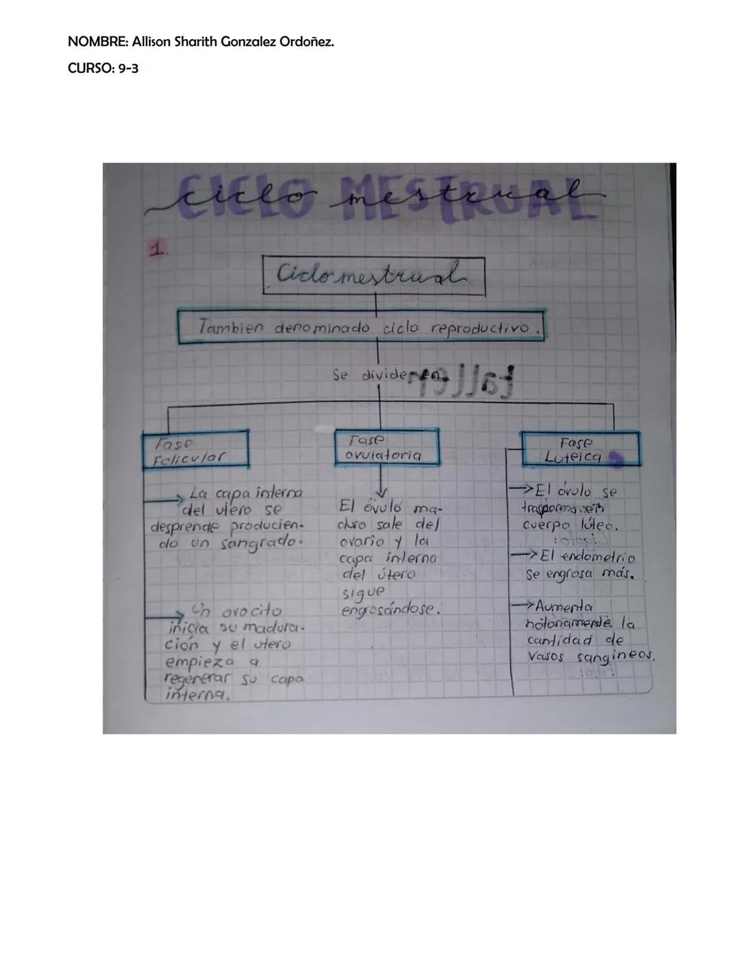 NOMBRE: Allison Sharith Gonzalez Ordoñez.
CURSO: 9-3
# chlo nistRUAL
1.
## Ciclo mestrual
Tambien denominado ciclo reproductivo
Se div
