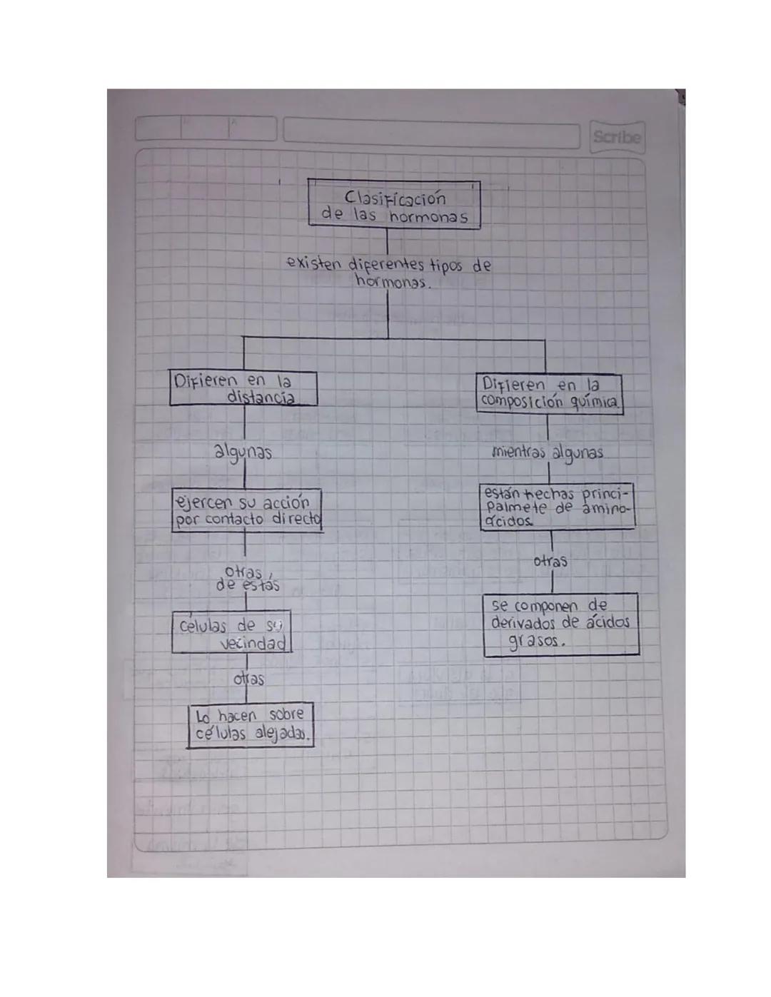 NOMBRE: Allison Sharith Gonzalez Ordoñez.
CURSO: 9-3
MAPAS CONCEPTUALES SOBRE LA GUIA DE LAS
HORMONAS
Scribe
Las hormonas
¿Que son y co