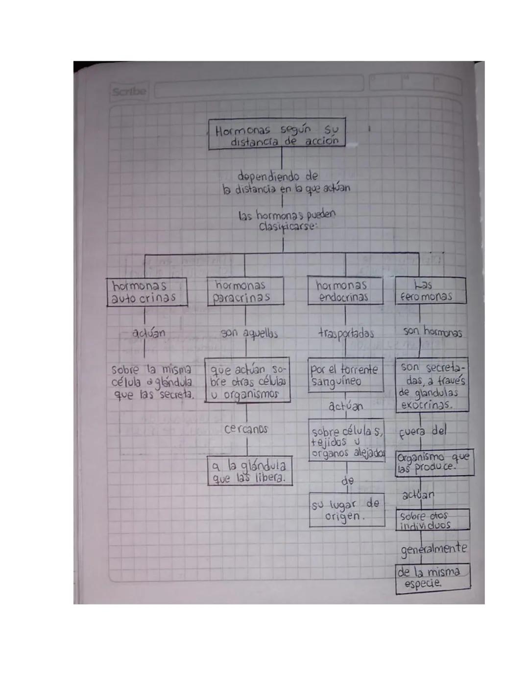 NOMBRE: Allison Sharith Gonzalez Ordoñez.
CURSO: 9-3
MAPAS CONCEPTUALES SOBRE LA GUIA DE LAS
HORMONAS
Scribe
Las hormonas
¿Que son y co