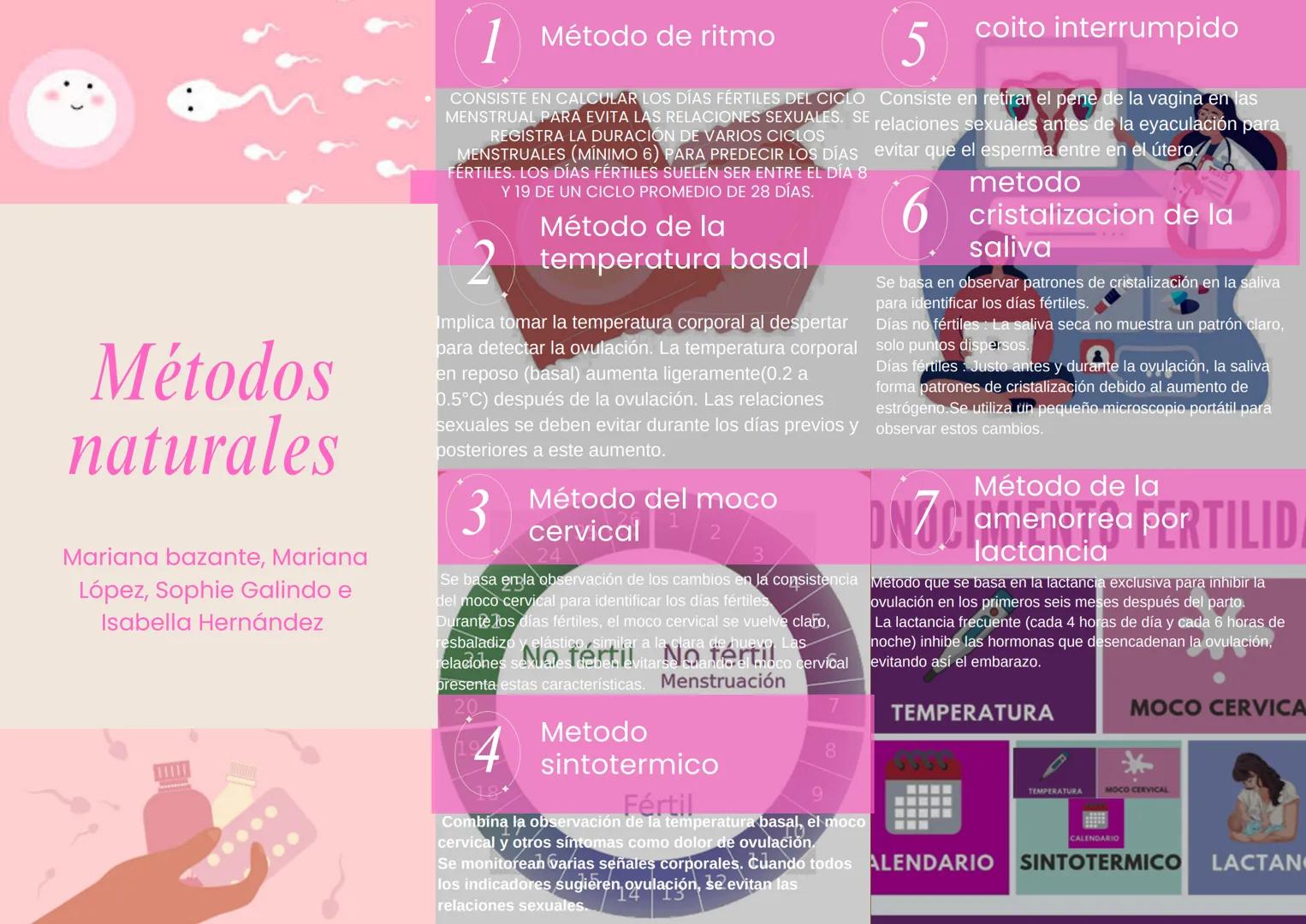 # 1 Método de ritmo
CONSISTE EN CALCULAR LOS DÍAS FÉRTILES DEL CICLO Consiste en retirar el pene de la vagina en las
MENSTRUAL PARA EVITA L