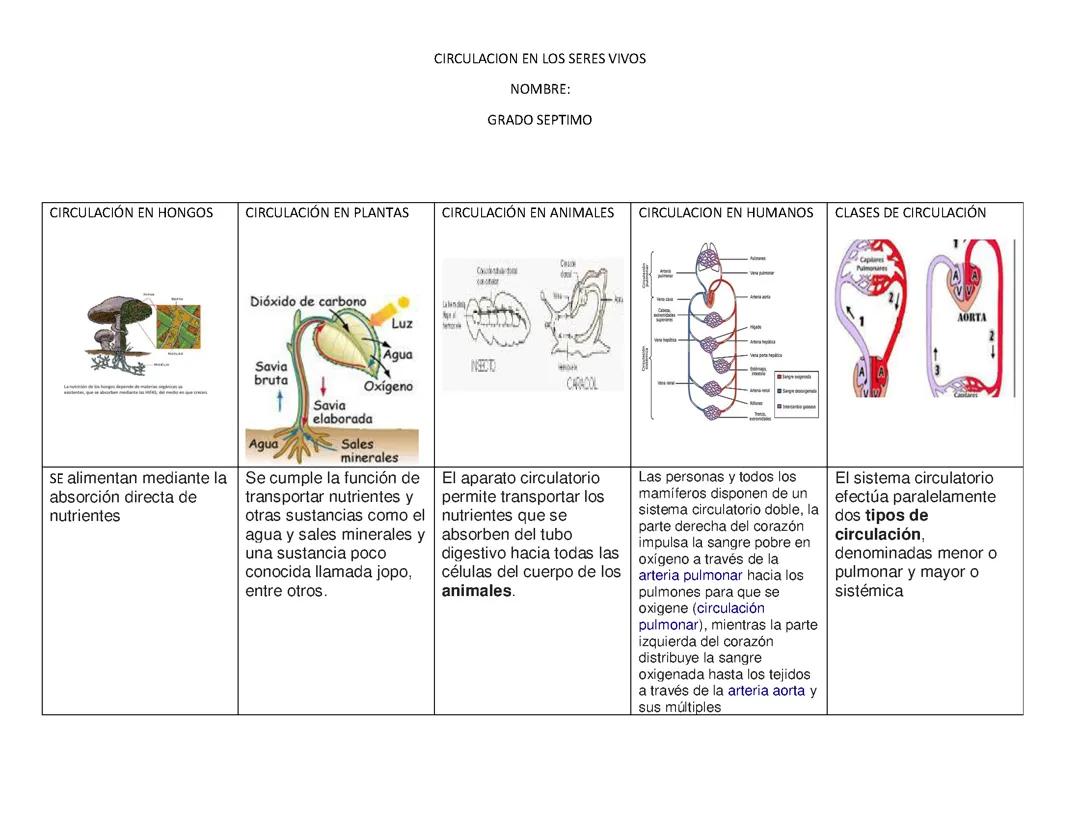 Circulación de los seres vivos