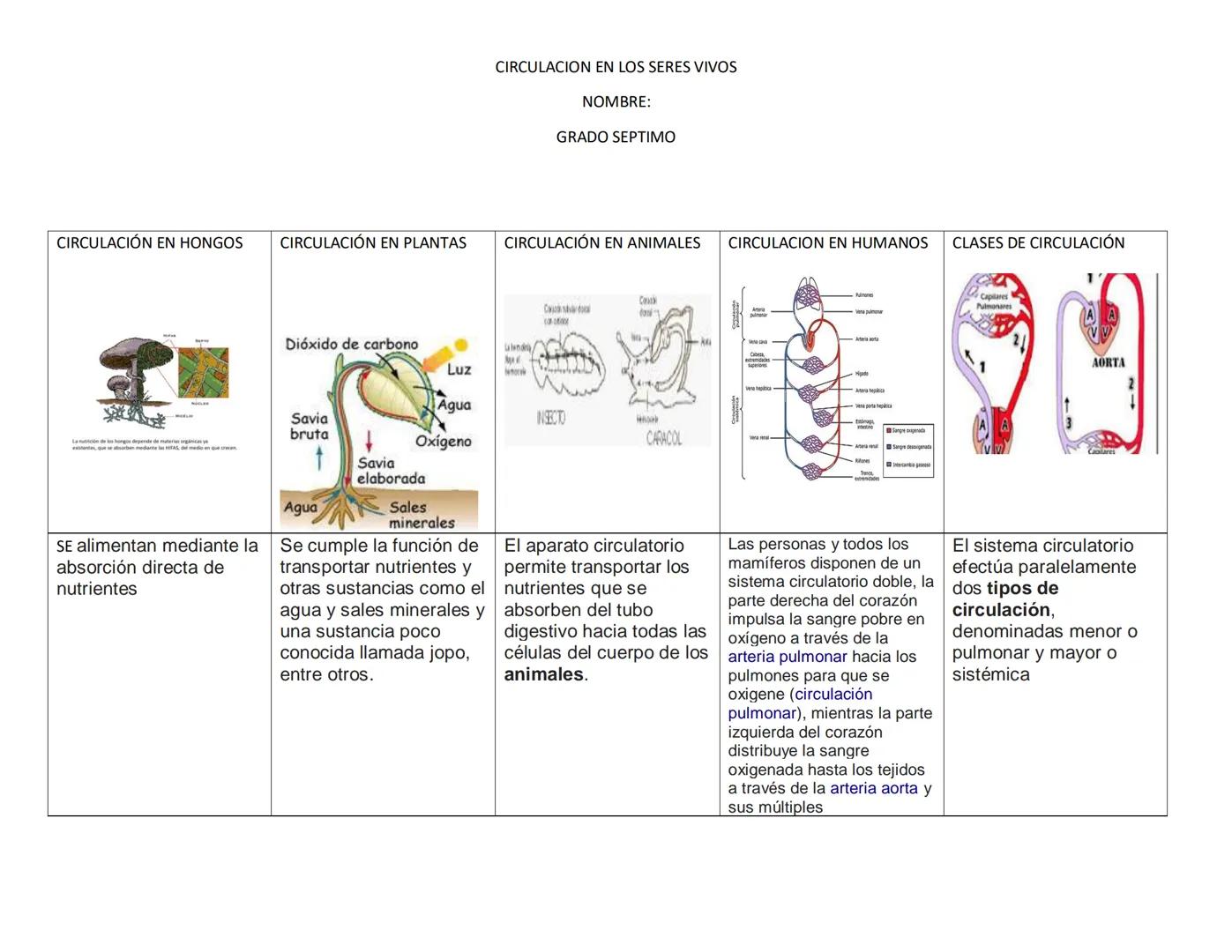 CIRCULACION EN LOS SERES VIVOS
NOMBRE:
GRADO SEPTIMO
CIRCULACIÓN EN HONGOS
CIRCULACIÓN EN PLANTAS
CIRCULACIÓN EN ANIMALES
CIRCULACION EN HUM
