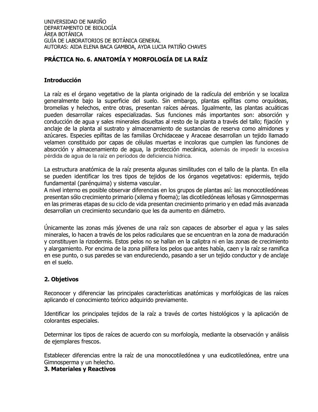 # UNIVERSIDAD DE NARIÑO
DEPARTAMENTO DE BIOLOGÍA
ÁREA BOTÁNICA
GUÍA DE LABORATORIOS DE BOTÁNICA GENERAL
AUTORAS: AIDA ELENA BACA GAMBOA, AYD