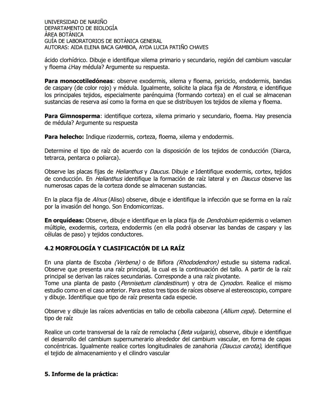 # UNIVERSIDAD DE NARIÑO
DEPARTAMENTO DE BIOLOGÍA
ÁREA BOTÁNICA
GUÍA DE LABORATORIOS DE BOTÁNICA GENERAL
AUTORAS: AIDA ELENA BACA GAMBOA, AYD