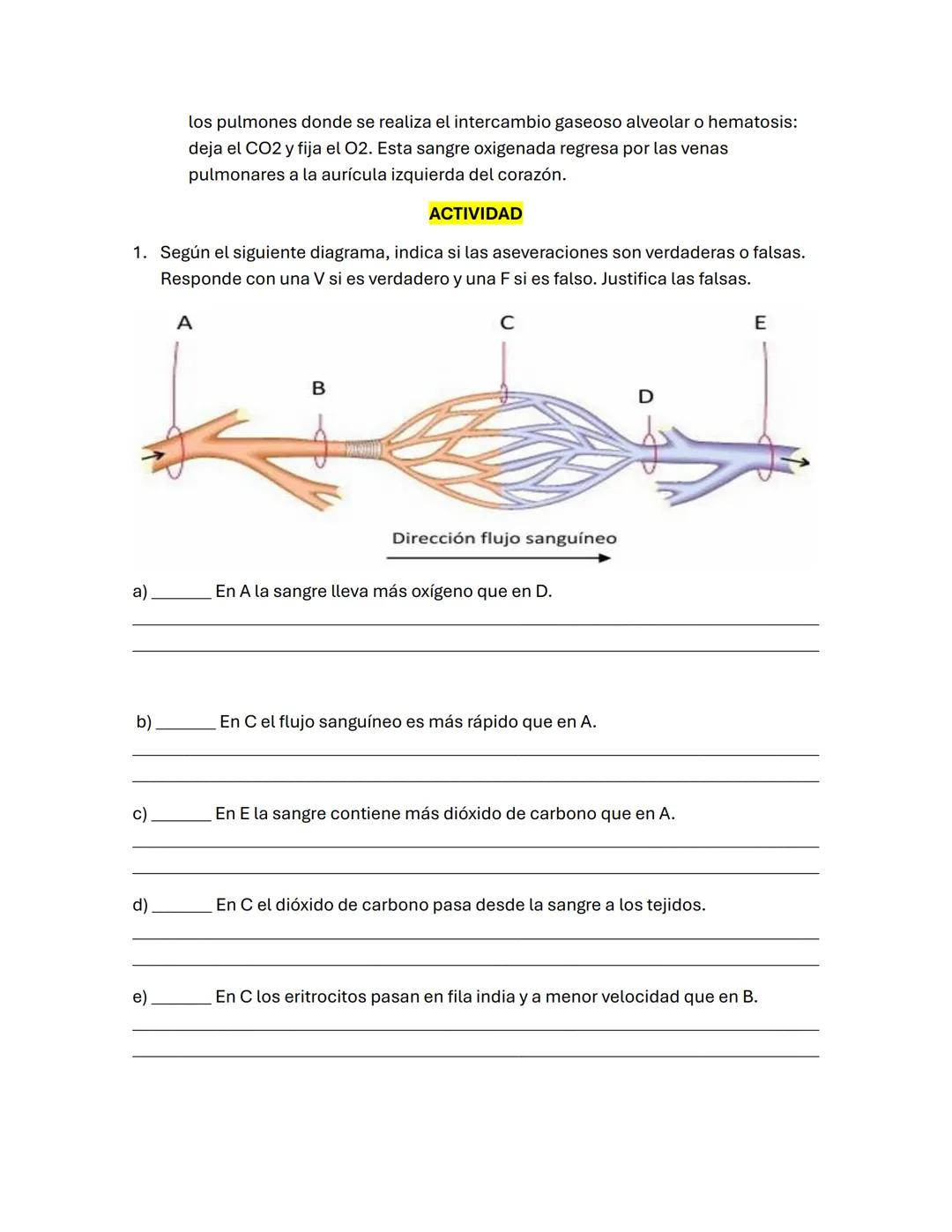# EL SISTEMA CIRCULATORIO
El sistema circulatorio es el encargado de transportar el oxígeno y los nutrientes por
todo el cuerpo, y de recog
