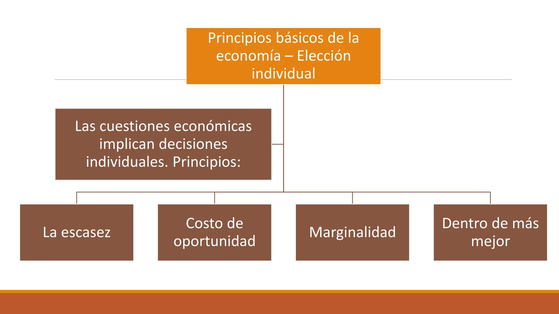 # CURSO DE
MICROECONOMÍA
Principios de la Economía
DEPARTAMENTO DE DERECHO ECONÓMICO
PONTIFICIA UNIVERSIDAD JAVERIANA
DOCENTE: DIANA CATALI