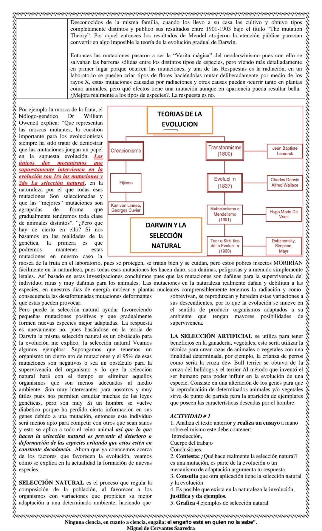 TEMAS: MUTACIONES SELECCIÓN
NATURAL Y HERENCIA
TIPOS DE MUTACIONES
AGENTES MUTAGENICOS
PRINCIPLALES ANOMALIAS
CHARLES DARWIN
SELECCIÓN NATUR