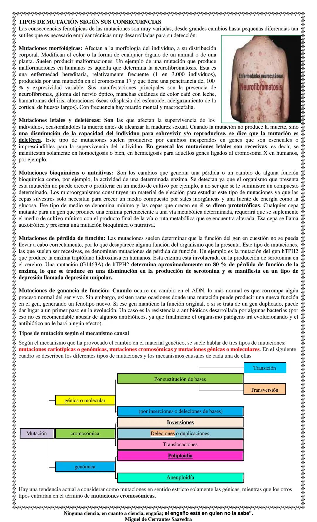 TEMAS: MUTACIONES SELECCIÓN
NATURAL Y HERENCIA
TIPOS DE MUTACIONES
AGENTES MUTAGENICOS
PRINCIPLALES ANOMALIAS
CHARLES DARWIN
SELECCIÓN NATUR
