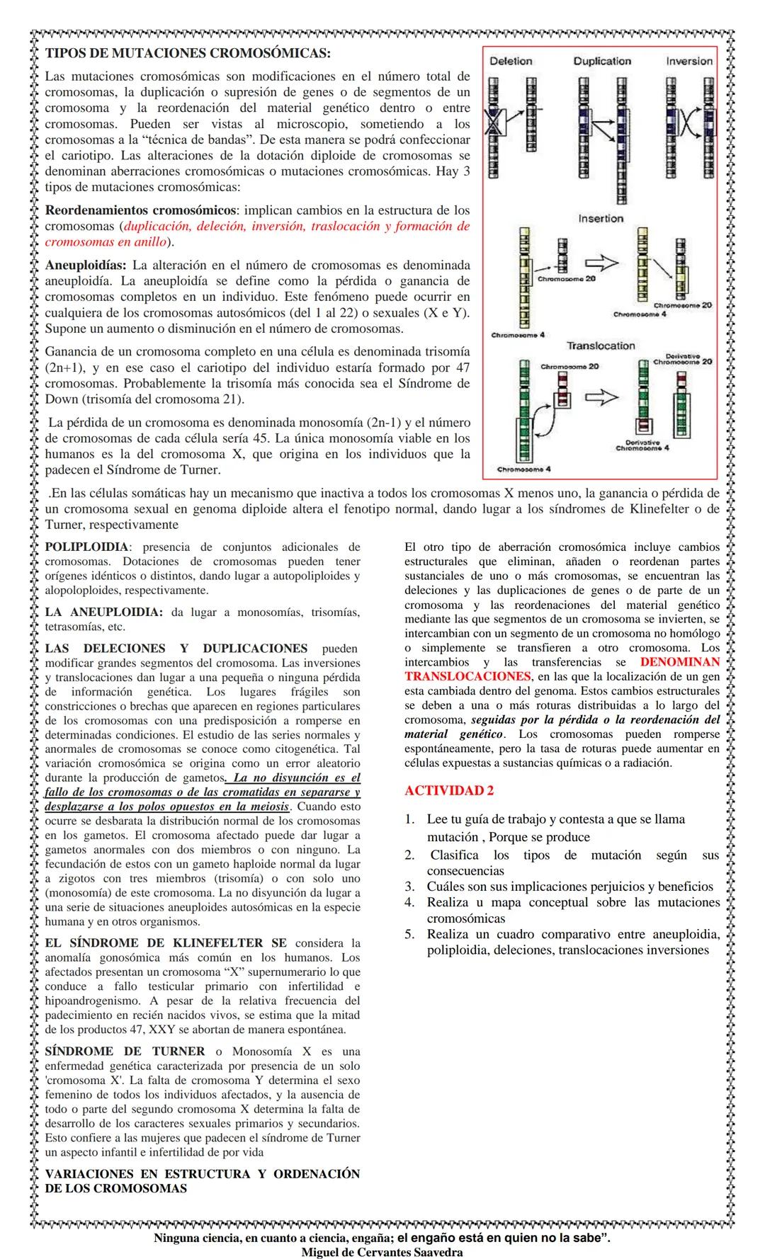 TEMAS: MUTACIONES SELECCIÓN
NATURAL Y HERENCIA
TIPOS DE MUTACIONES
AGENTES MUTAGENICOS
PRINCIPLALES ANOMALIAS
CHARLES DARWIN
SELECCIÓN NATUR