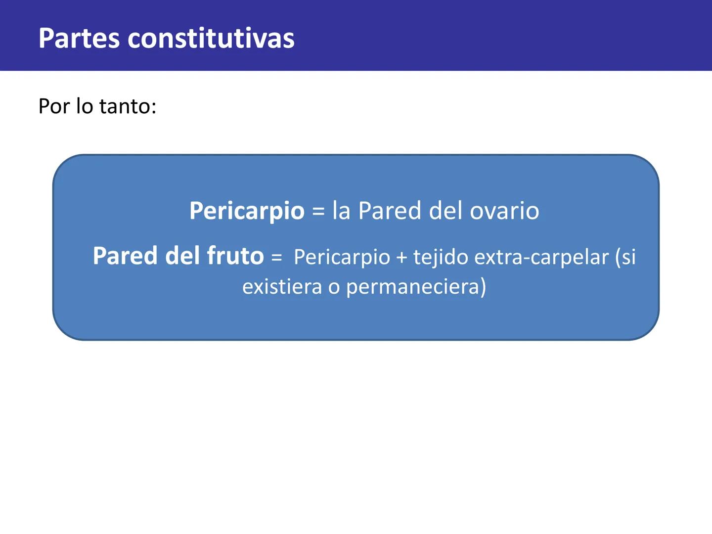 Fruto: concepto
El fruto es el ovario
desarrollado y maduro,
luego de la fecundación de
los óvulos o rudimentos
seminales que se
transforman