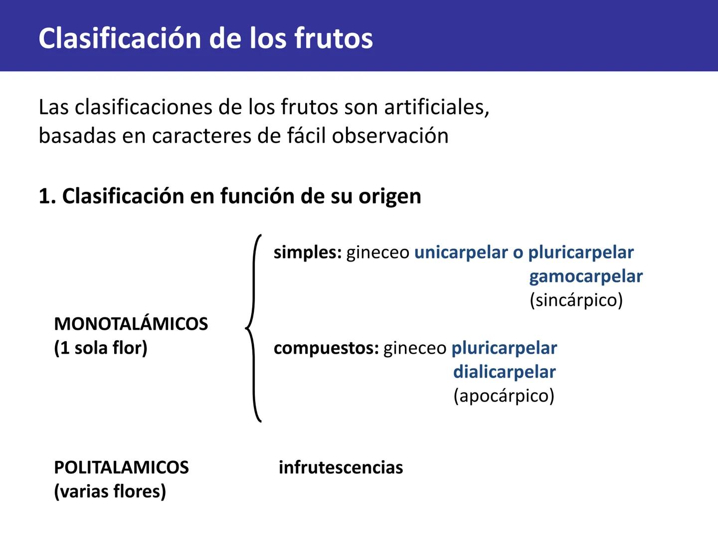 Fruto: concepto
El fruto es el ovario
desarrollado y maduro,
luego de la fecundación de
los óvulos o rudimentos
seminales que se
transforman