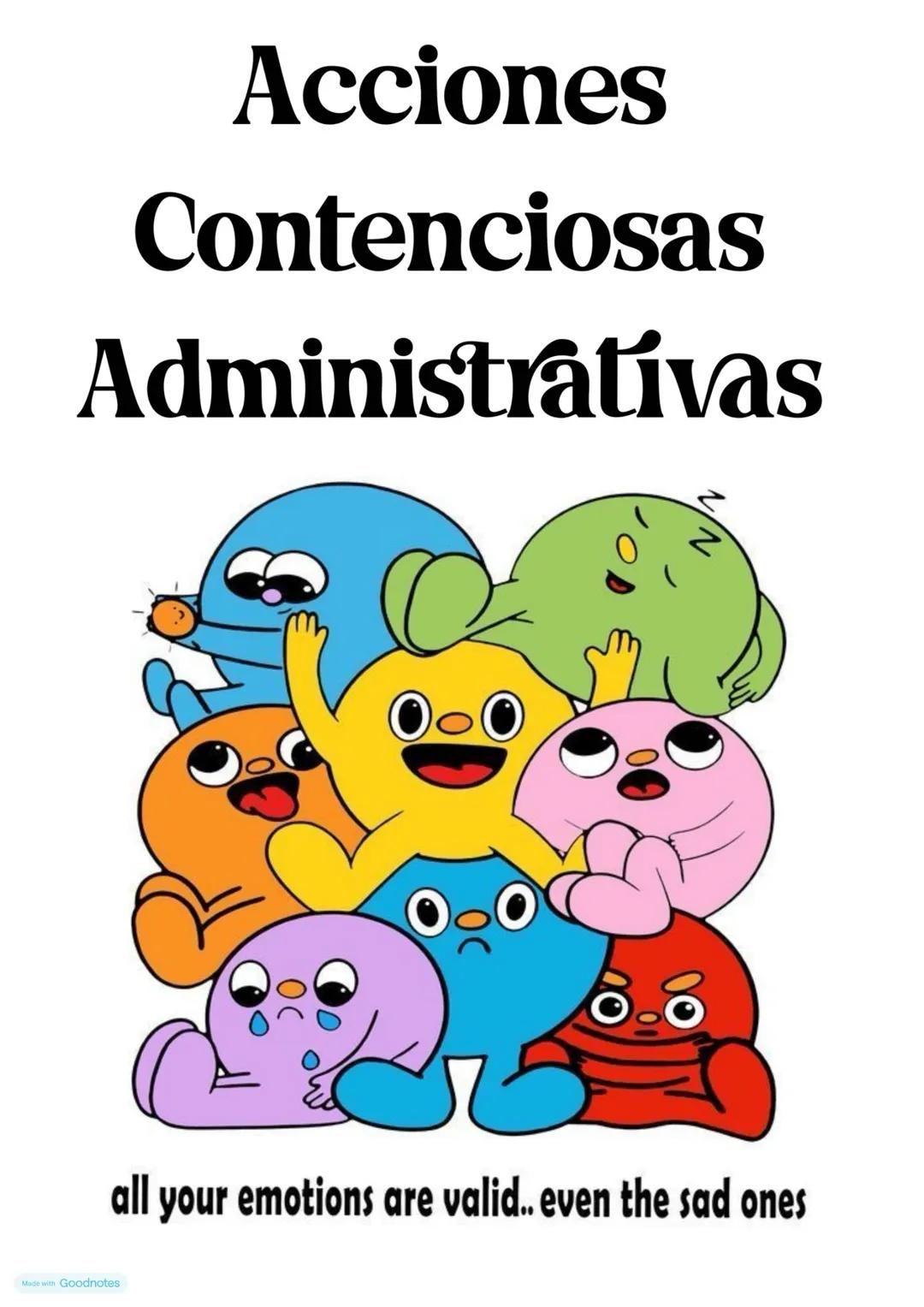 Acciones
Contenciosas
Administrativas
all your emotions are valid.. even the sad ones 24 de Julio de 2024
* Elaboración de Demandes (P