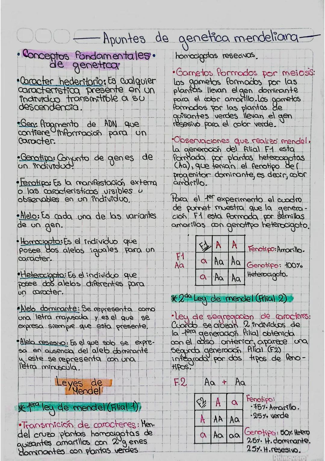 000
0
Apuntes de genetica mendeliana-
•Conceptos fondamentales.
de genetica
Caracter hederitario: Es cualquier
caracteristica presente en un