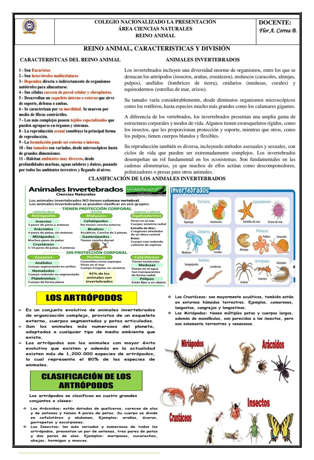 # COLEGIO NACIONALIZADO LA PRESENTACIÓN
## ÁREA CIENCIAS NATURALES
### REINO ANIMAL
## REINO ANIMAL, CARACTERISTICAS Y DIVISIÓN
### CARACT