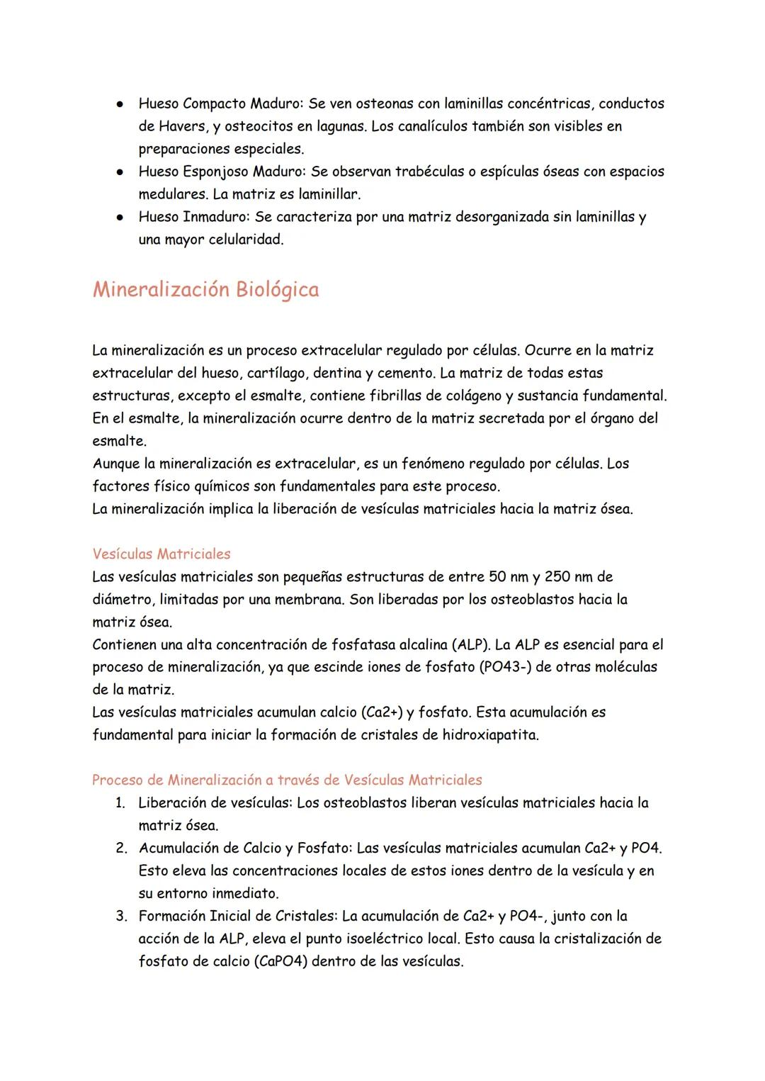 Tejido óseo
Generalidades
Estructura general de los huesos:
Los huesos son los órganos del sistema esquelético y el tejido óseo es su compon