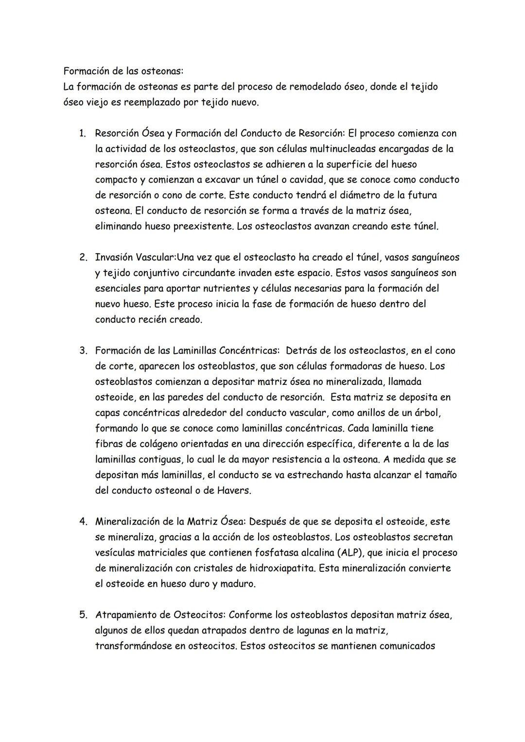 Tejido óseo
Generalidades
Estructura general de los huesos:
Los huesos son los órganos del sistema esquelético y el tejido óseo es su compon