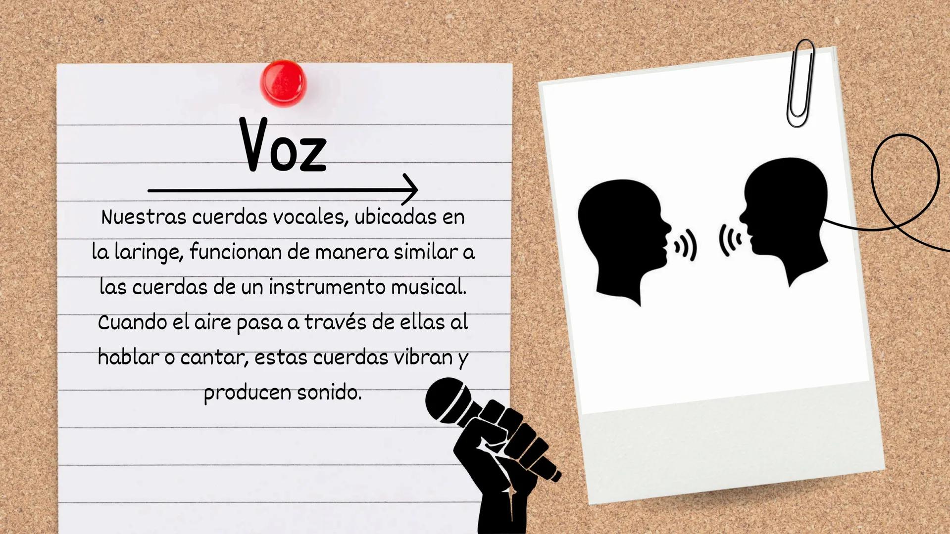 El Misterio de los Sonidos:
Cuerdas, Tubos y la Voz
Humana Indice
1
• CUERDAS SONORAS
4
• EXPERIMENTO
2
• TUBOS SONOROS
3
• VOZ HUMA