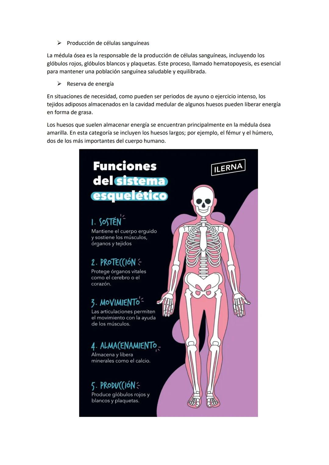 Saludo:
El sistema óseo es fundamental, puesto que es el encargado de proteger los órganos y dar
movimiento al cuerpo
Intro:
El esqueleto