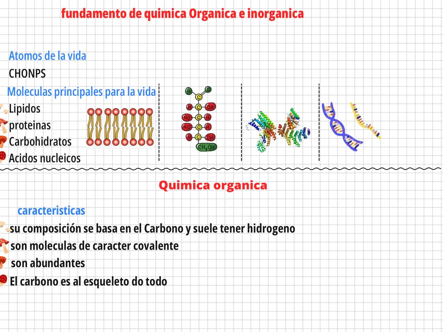 Bioquimica # fundamento de quimica Organica e inorganica
Atomos de la vida
CHONPS
Moleculas principales para la vida
Lipidos
proteinas
Carb