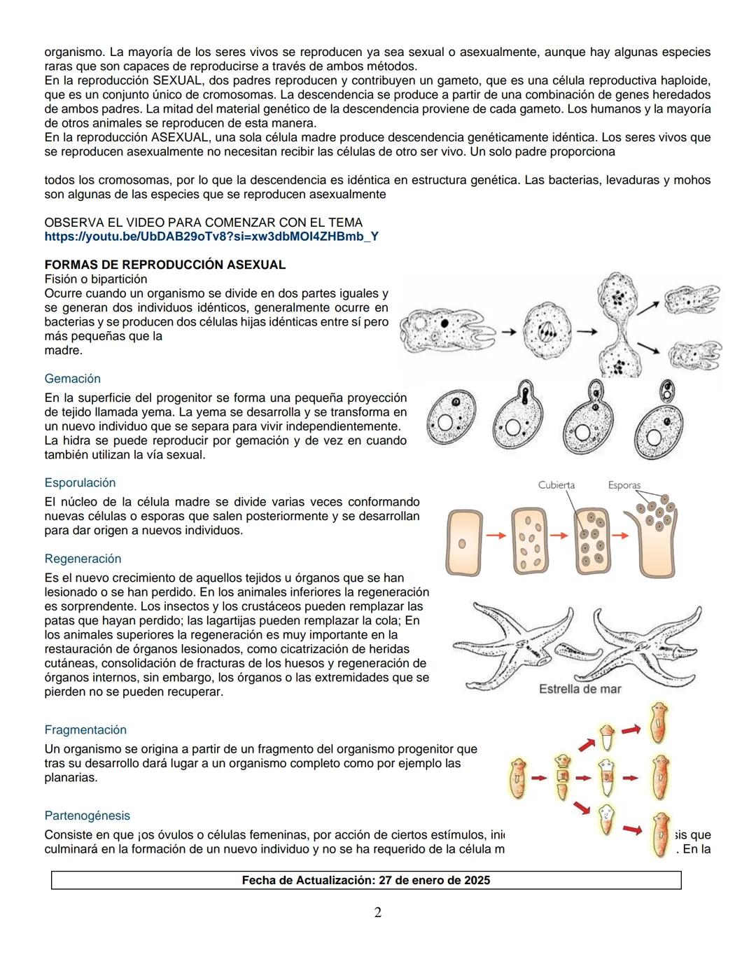 --- OCR Start ---
Institución Educativa Municipal
ESCUELA NORMAL SUPERIOR DE PASTO
GUIA DE APRENDIZAJE
AÑO ESCOLAR
2025
JORNADA
MAÑANA
NIVEL
