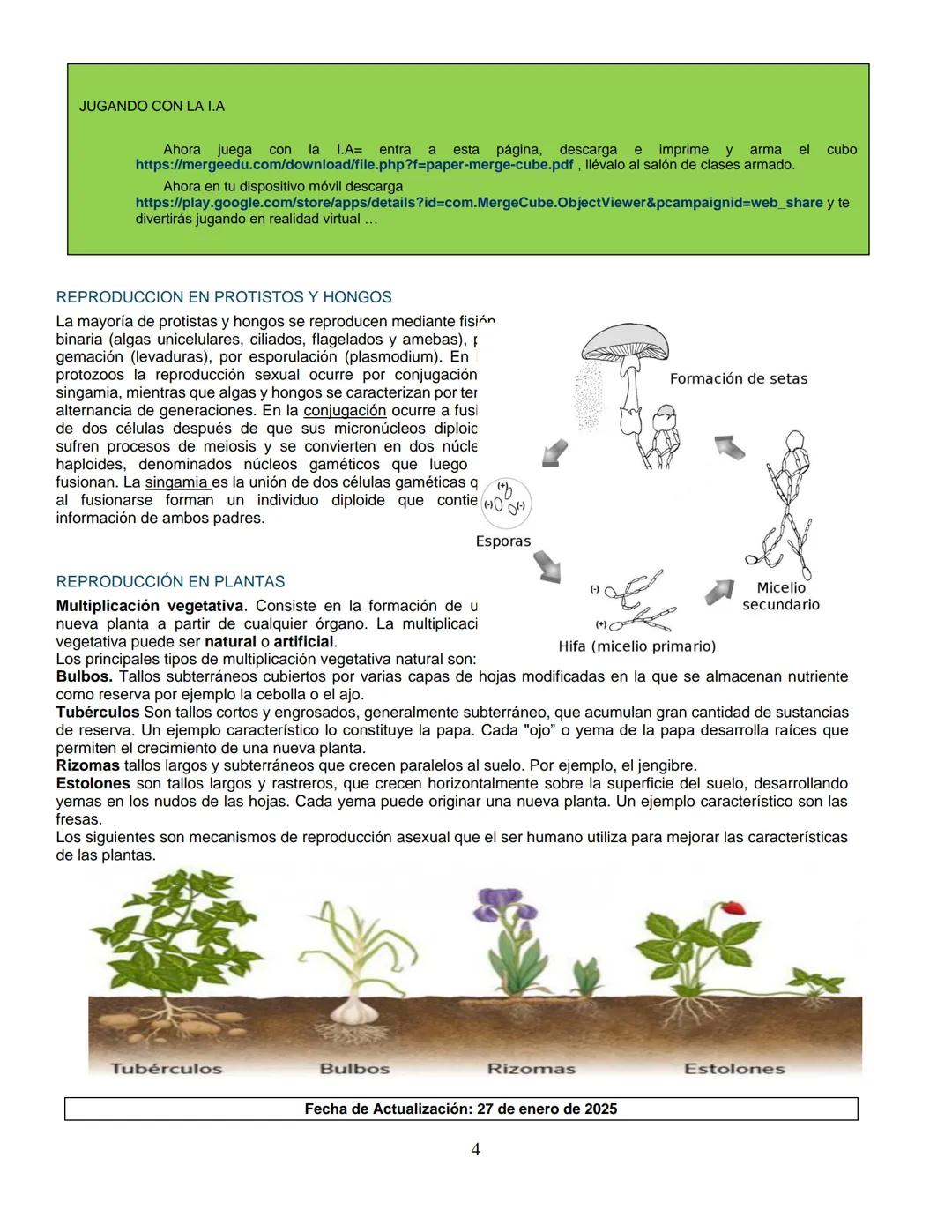 --- OCR Start ---
Institución Educativa Municipal
ESCUELA NORMAL SUPERIOR DE PASTO
GUIA DE APRENDIZAJE
AÑO ESCOLAR
2025
JORNADA
MAÑANA
NIVEL