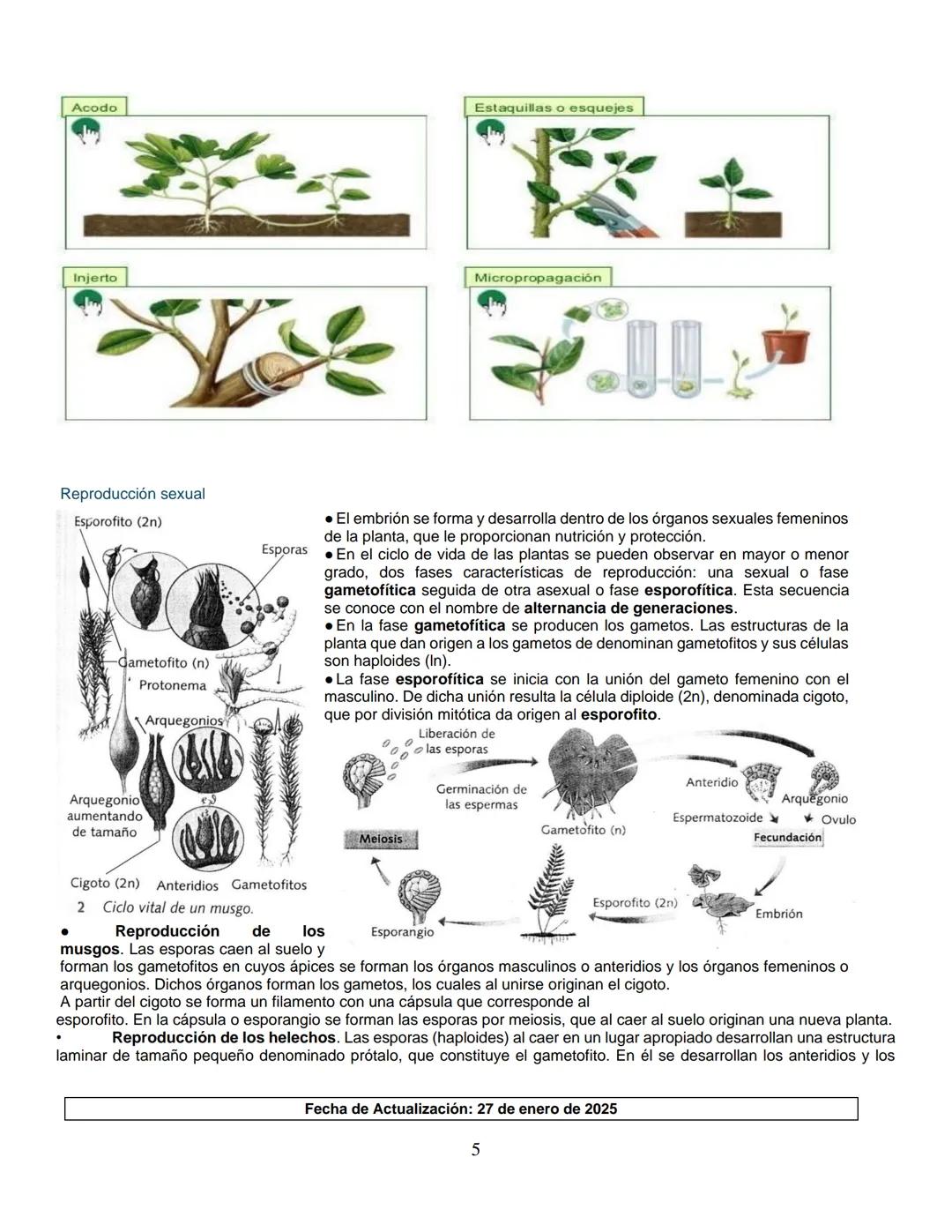 --- OCR Start ---
Institución Educativa Municipal
ESCUELA NORMAL SUPERIOR DE PASTO
GUIA DE APRENDIZAJE
AÑO ESCOLAR
2025
JORNADA
MAÑANA
NIVEL