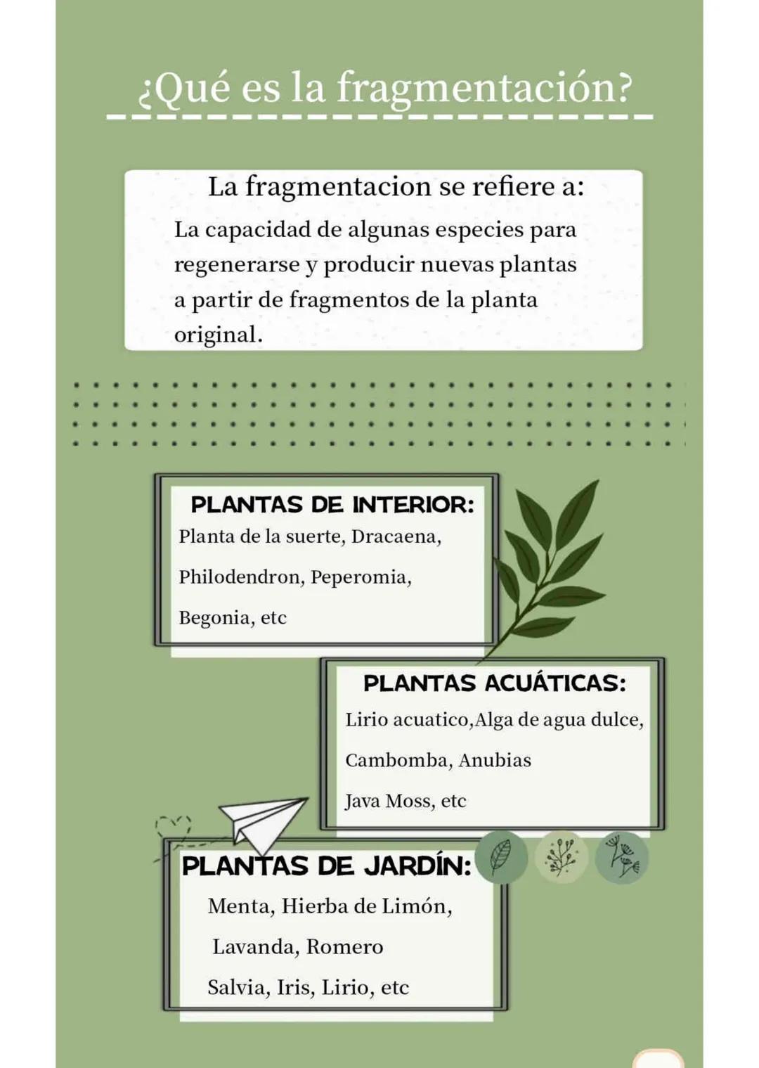 --- OCR Start ---
FRAGMENTACION
Y
APOMIXIS
Presentado por:
- Silvana Suarez
- Josmary Linares
- Luisa Arroyave
- Victoria Colonna
- Sofia Ma