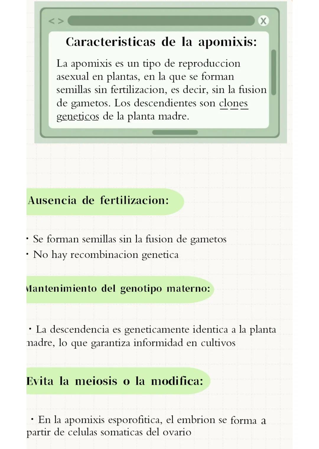 --- OCR Start ---
FRAGMENTACION
Y
APOMIXIS
Presentado por:
- Silvana Suarez
- Josmary Linares
- Luisa Arroyave
- Victoria Colonna
- Sofia Ma