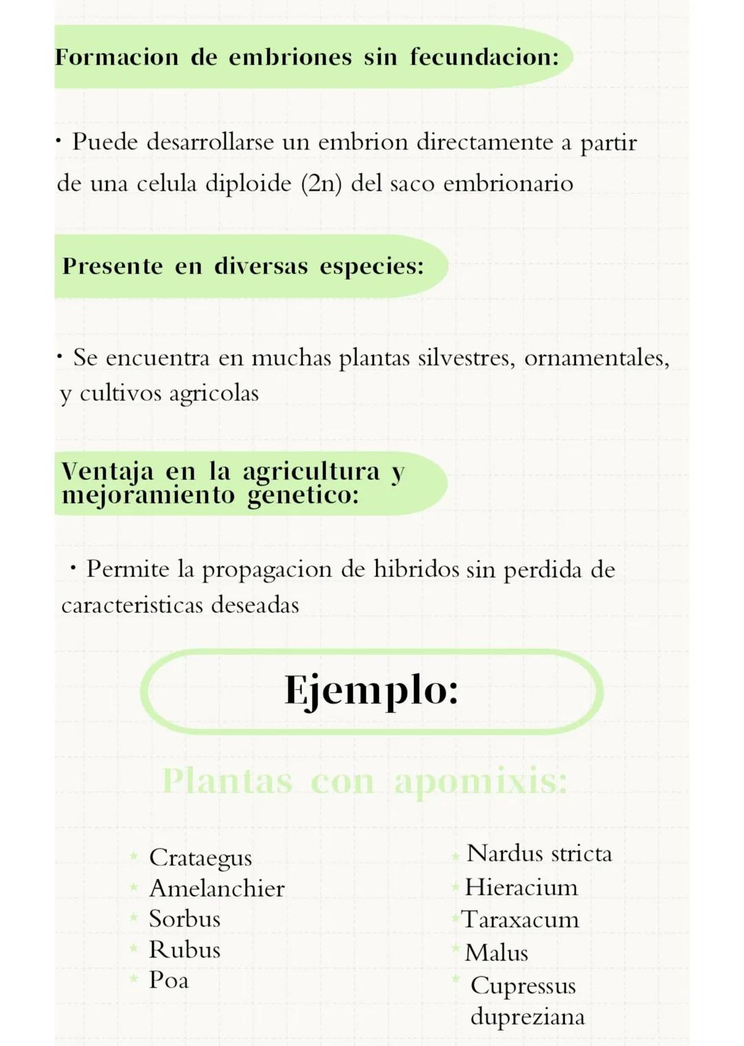 --- OCR Start ---
FRAGMENTACION
Y
APOMIXIS
Presentado por:
- Silvana Suarez
- Josmary Linares
- Luisa Arroyave
- Victoria Colonna
- Sofia Ma
