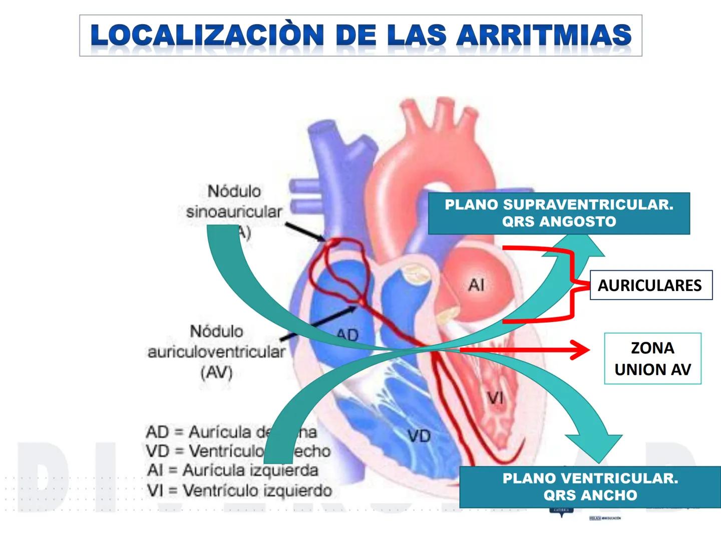 UCM
DAD 1954
UNIVERSIDAD
CARIDAD
CATOLICA
UniversidadⓇ
Católica
de Manizales
VIGILADA MINEDUCACIÓN
Acreditación de
Alta Calidad
en el camino