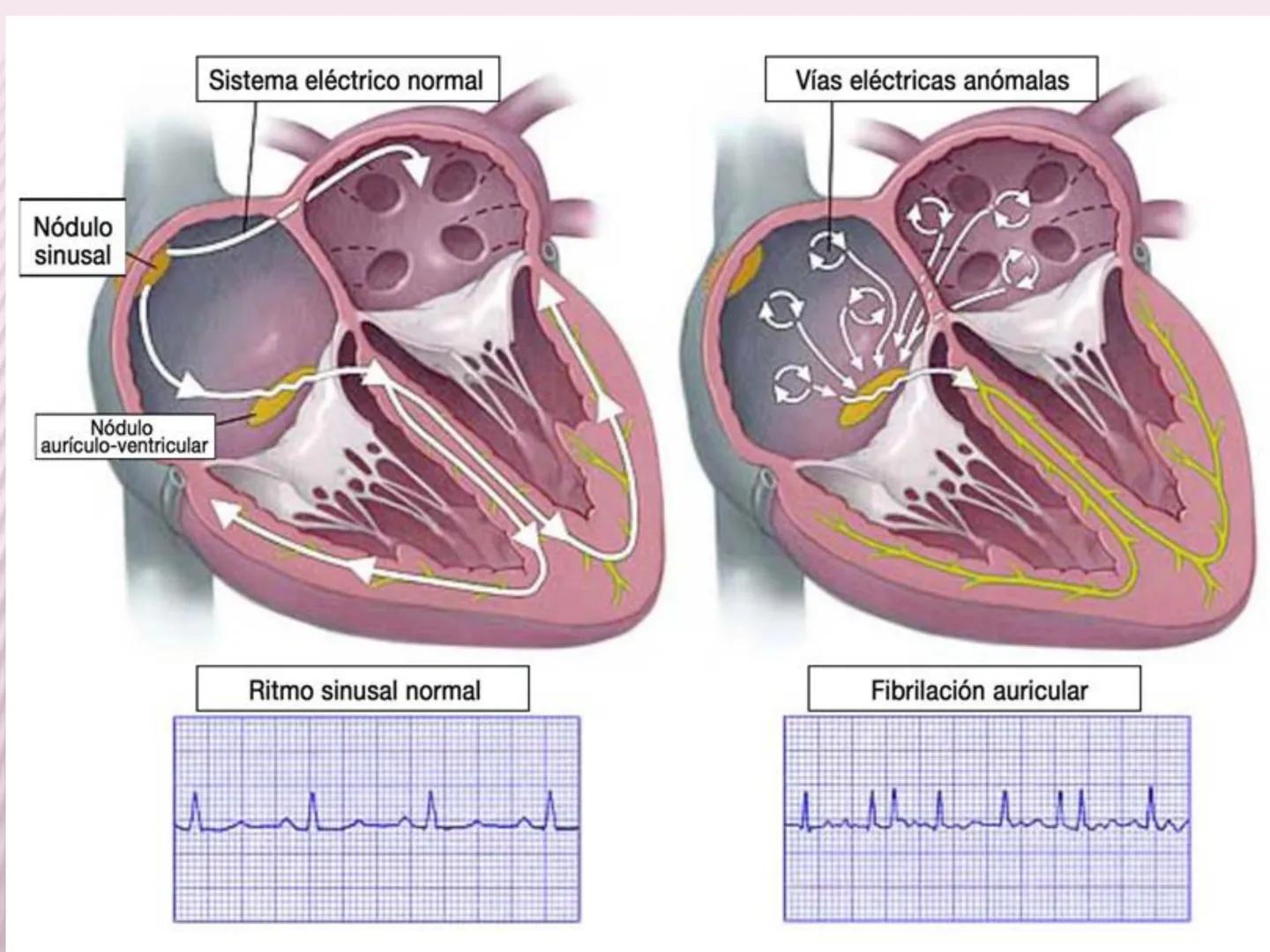 UCM
DAD 1954
UNIVERSIDAD
CARIDAD
CATOLICA
UniversidadⓇ
Católica
de Manizales
VIGILADA MINEDUCACIÓN
Acreditación de
Alta Calidad
en el camino