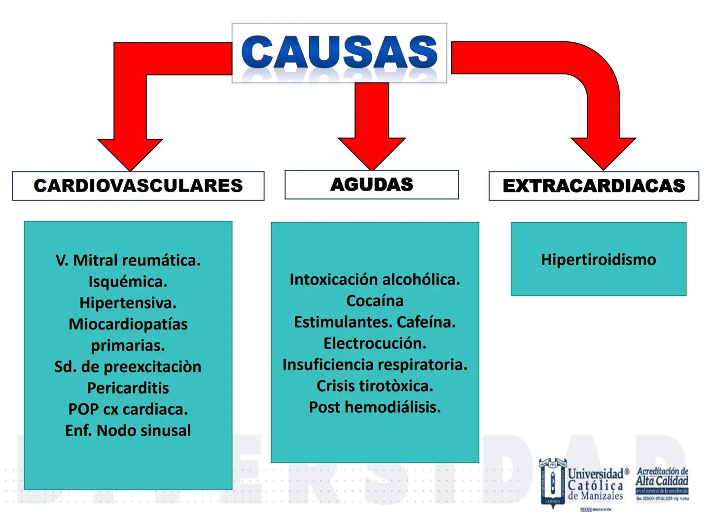UCM
DAD 1954
UNIVERSIDAD
CARIDAD
CATOLICA
UniversidadⓇ
Católica
de Manizales
VIGILADA MINEDUCACIÓN
Acreditación de
Alta Calidad
en el camino