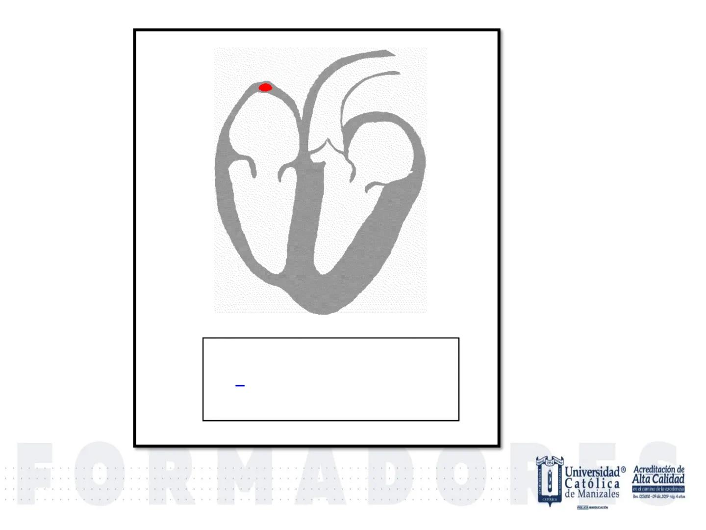 UCM
DAD 1954
UNIVERSIDAD
CARIDAD
CATOLICA
UniversidadⓇ
Católica
de Manizales
VIGILADA MINEDUCACIÓN
Acreditación de
Alta Calidad
en el camino