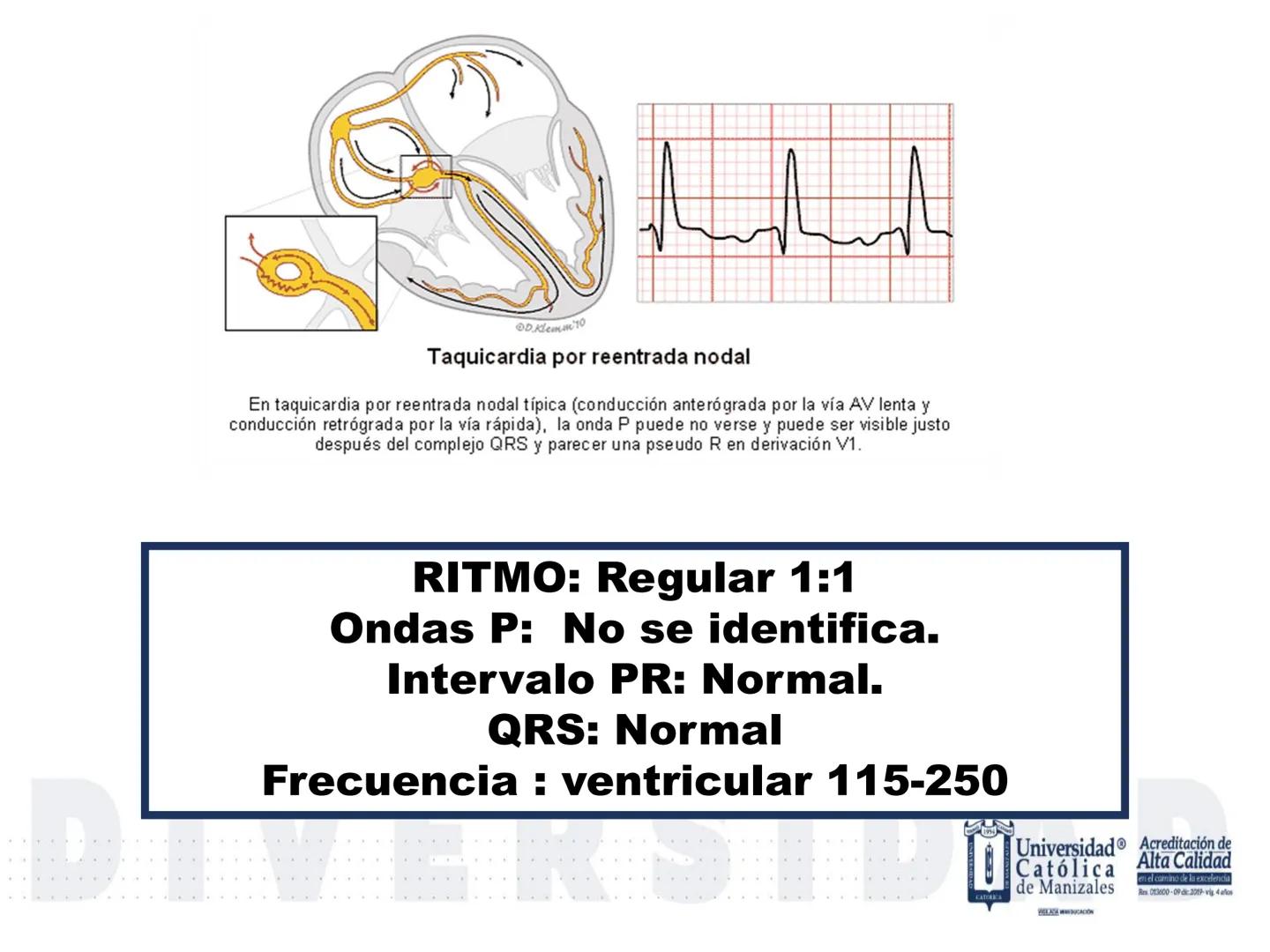 UCM
DAD 1954
UNIVERSIDAD
CARIDAD
CATOLICA
UniversidadⓇ
Católica
de Manizales
VIGILADA MINEDUCACIÓN
Acreditación de
Alta Calidad
en el camino