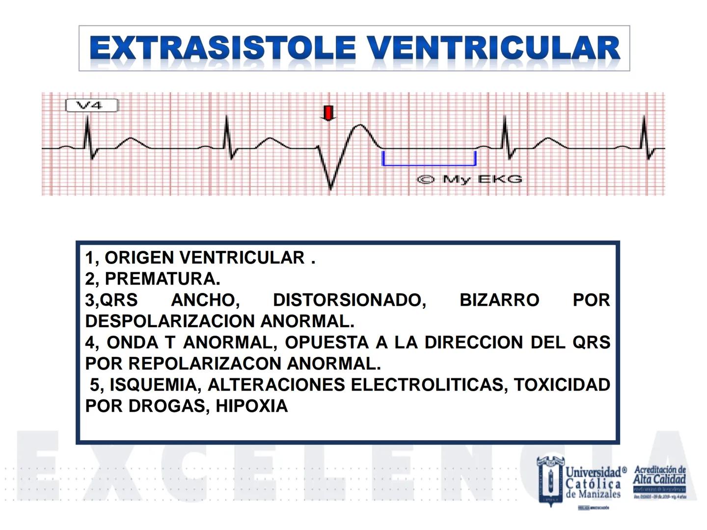 UCM
DAD 1954
UNIVERSIDAD
CARIDAD
CATOLICA
UniversidadⓇ
Católica
de Manizales
VIGILADA MINEDUCACIÓN
Acreditación de
Alta Calidad
en el camino