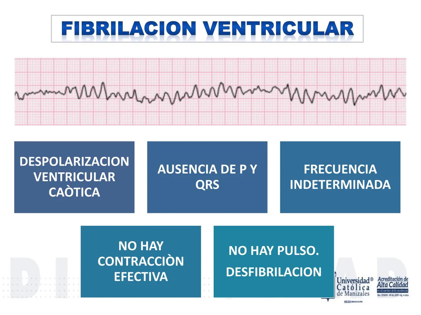 UCM
DAD 1954
UNIVERSIDAD
CARIDAD
CATOLICA
UniversidadⓇ
Católica
de Manizales
VIGILADA MINEDUCACIÓN
Acreditación de
Alta Calidad
en el camino