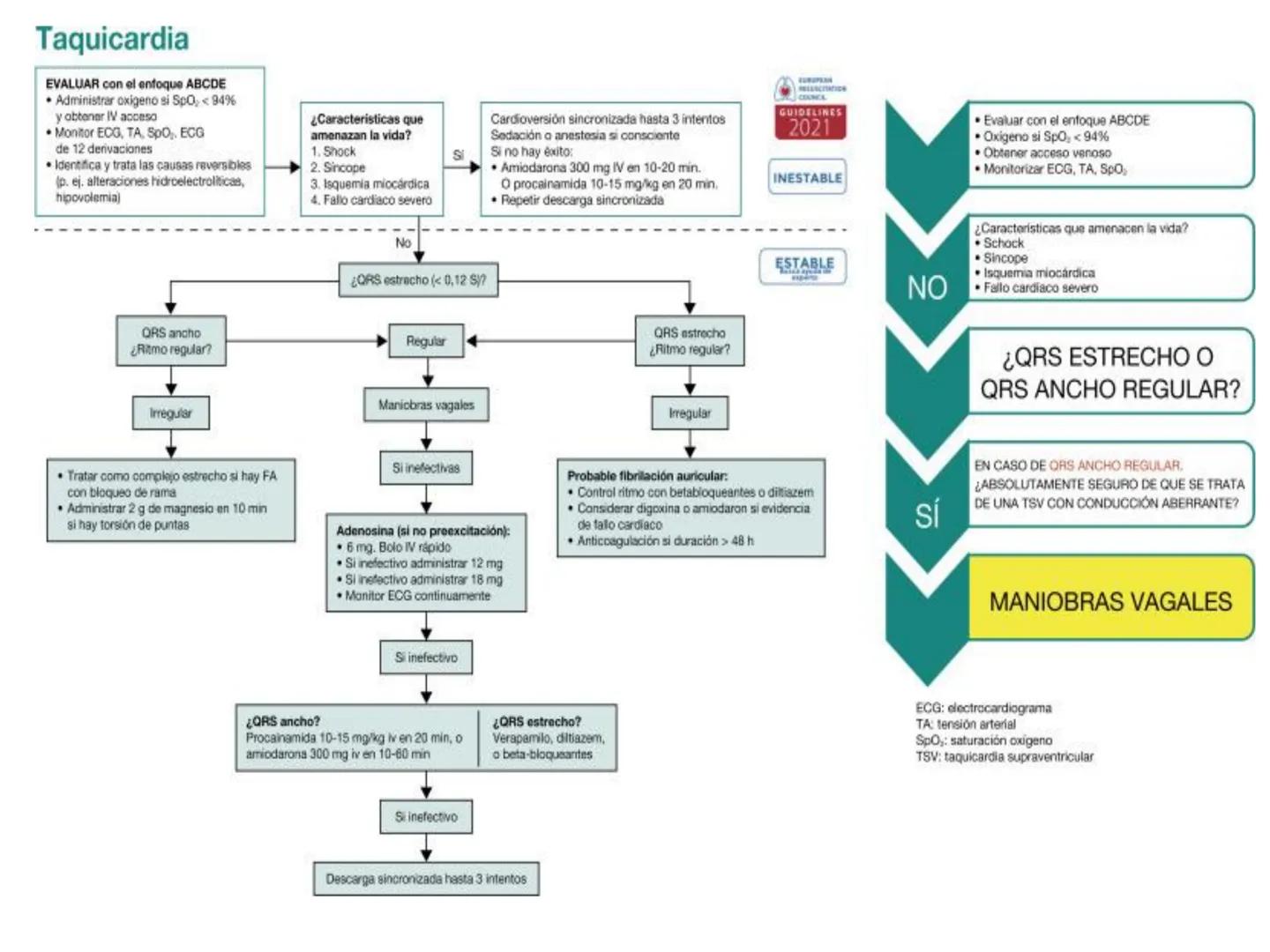 UCM
DAD 1954
UNIVERSIDAD
CARIDAD
CATOLICA
UniversidadⓇ
Católica
de Manizales
VIGILADA MINEDUCACIÓN
Acreditación de
Alta Calidad
en el camino