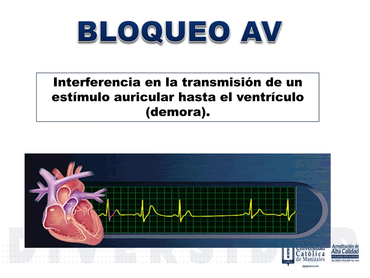 UCM
DAD 1954
UNIVERSIDAD
CARIDAD
CATOLICA
UniversidadⓇ
Católica
de Manizales
VIGILADA MINEDUCACIÓN
Acreditación de
Alta Calidad
en el camino