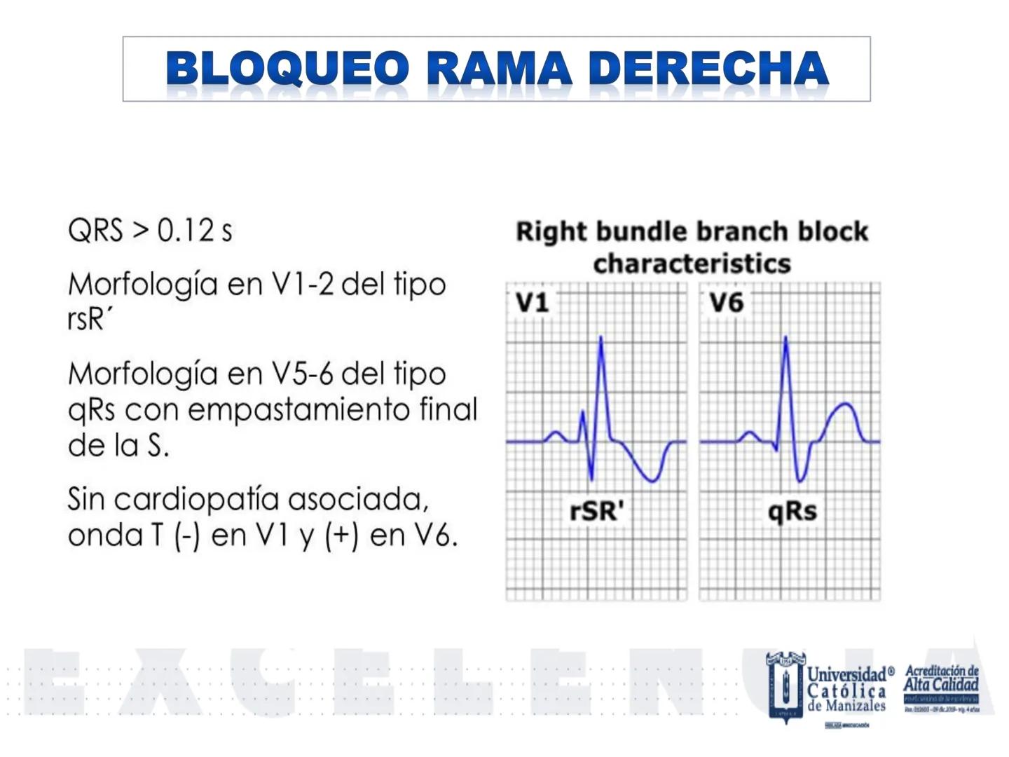 UCM
DAD 1954
UNIVERSIDAD
CARIDAD
CATOLICA
UniversidadⓇ
Católica
de Manizales
VIGILADA MINEDUCACIÓN
Acreditación de
Alta Calidad
en el camino