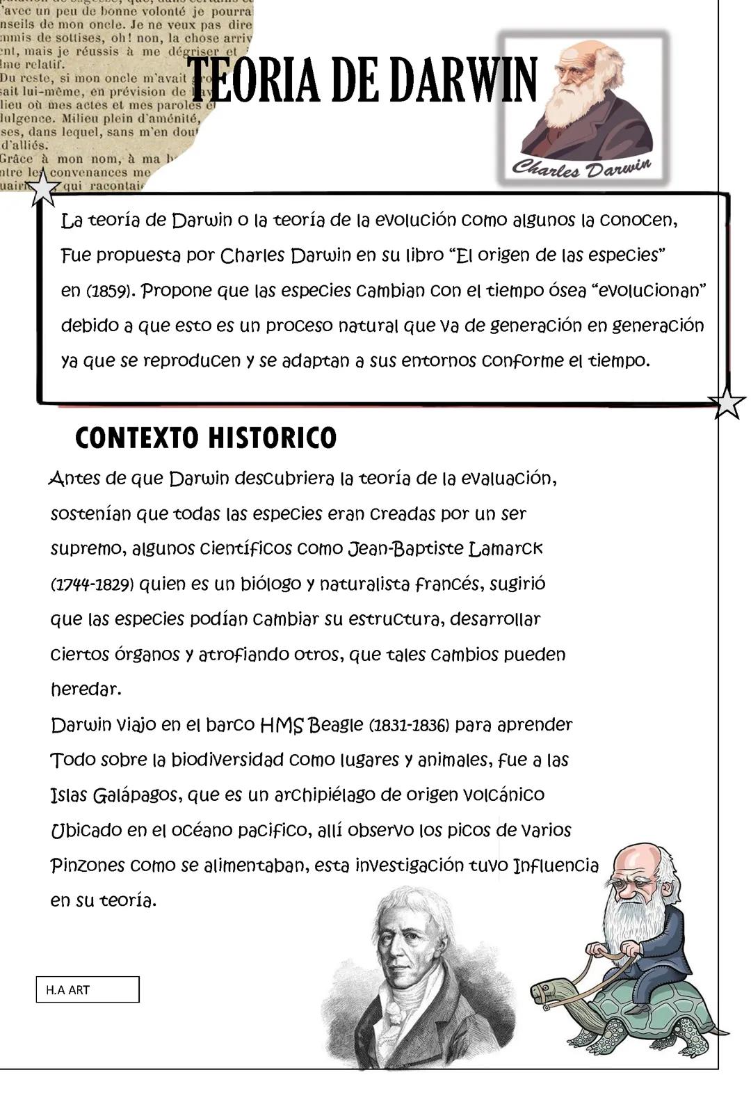 Teoría de evolución