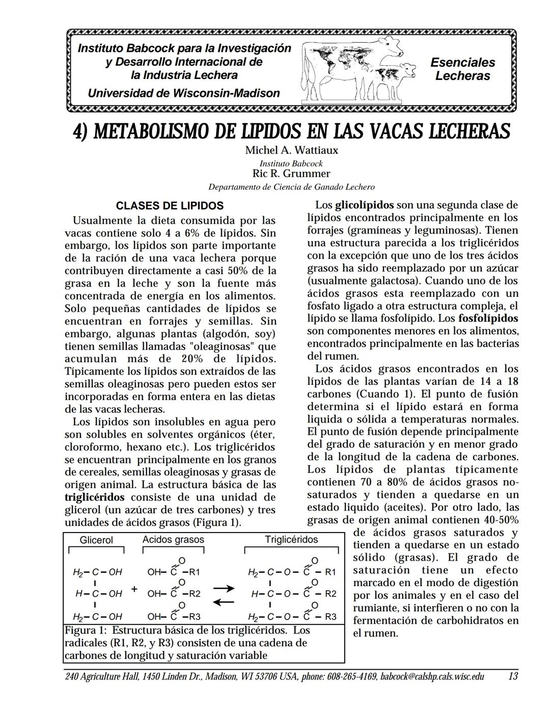 # Instituto Babcock para la Investigación
y Desarrollo Internacional de
la Industria Lechera
Universidad de Wisconsin-Madison
77777777777
Es